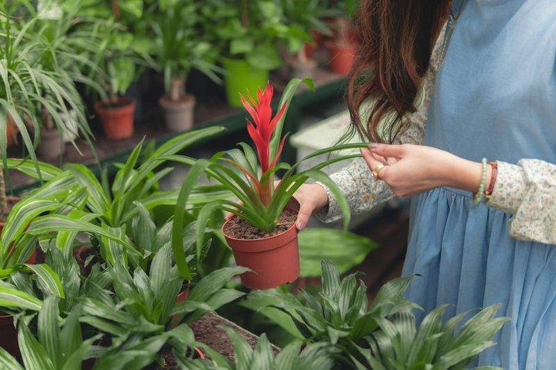 季節の花壇づくり